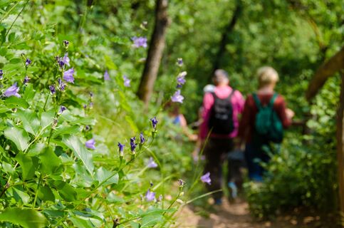 Naturerlebnisweg Tramin