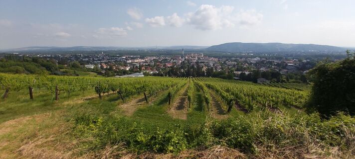 Foto van Eric Stoklassa langs de tour