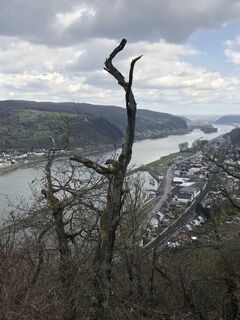 Foto de BieneM a lo largo del recorrido