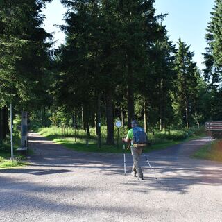 Wanderkreuzung am Rondell - Rennsteig bei Oberhof