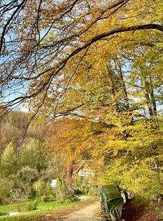 Fotografia z Petrita na trase