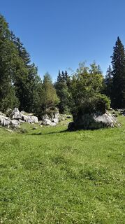 Fotografija s spletne strani Thomi W na poti