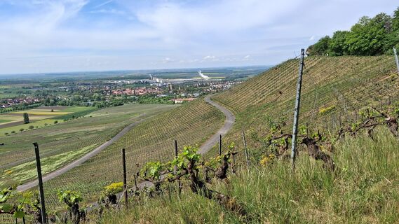 Foto von Hermann E. entlang der Tour