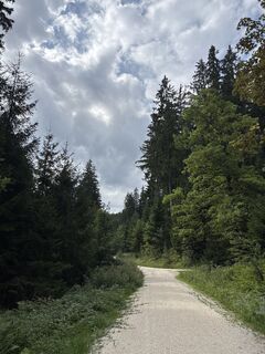 Foto de Heinz Sperl a lo largo del recorrido