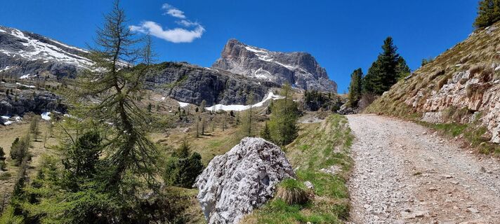 Fotografia z Csaba Ernyei na trase