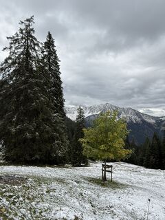 Fotografie z Christian Gut na trase
