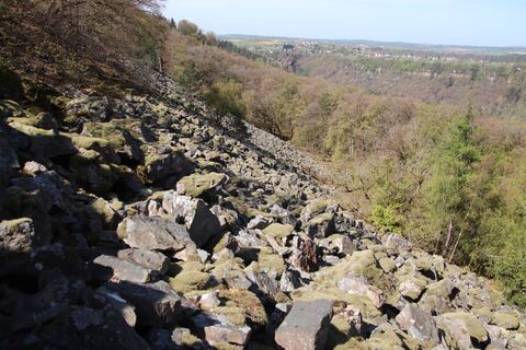 Fotografie z Günter Kleutsch na trase