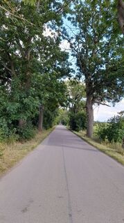 Foto de johpeterseil a lo largo del recorrido