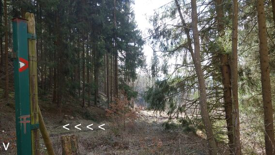 am Weg zum Friedrichsfelsen