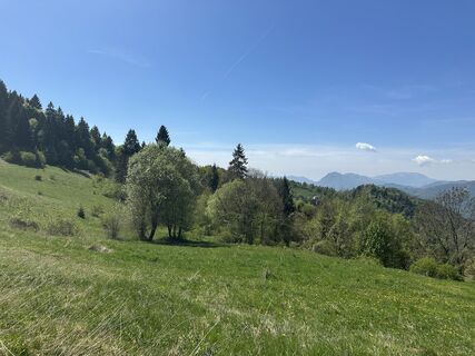 Foto de Agnese Martinelli a lo largo del recorrido