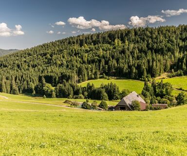 Landschaft in Breitnau