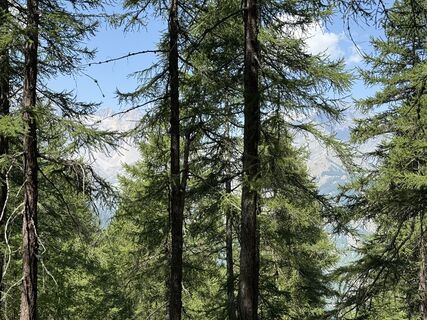 Fotografija s spletne strani Vittorio Mazzacca na poti