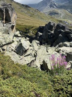Photo de Gianberto Zilli le long du parcours