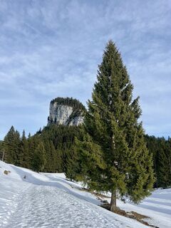 Foto von Aurelian Böhler entlang der Tour