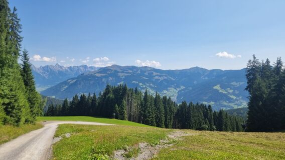 Photo from Jonas Hork along the tour