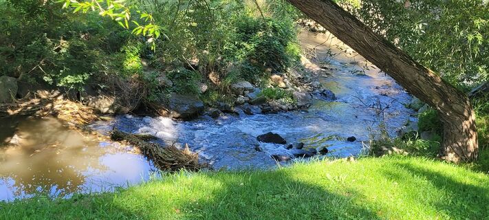 Fotografie de la Nicky de-a lungul turului