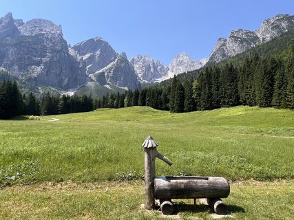 Fotografie z ecFAB40 na trase