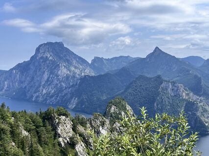 Fotografija s spletne strani Flink na poti