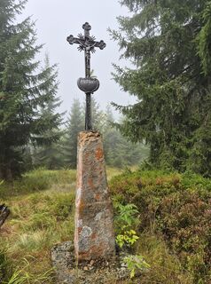 Foto von Wollomator entlang der Tour