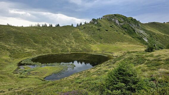 Photo de Veronika Strauss le long du parcours