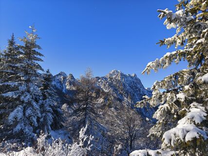 Photo de Marko Bešter le long du parcours