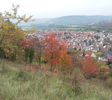 Herbstliches Lauda