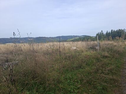Photo de Georg Meisterjahn le long du parcours