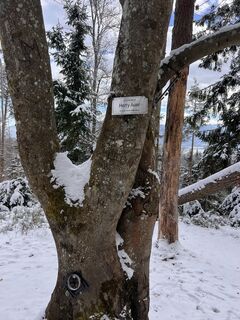 Photo de Flocke Florian le long du parcours