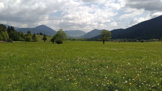 Foto von Bergpirat entlang der Tour