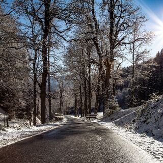 Weg hoch auf den Aigenberg