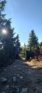 Fotografija s spletne strani Sylwiasuchy76 na poti