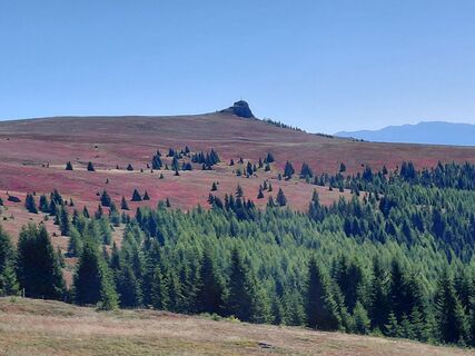 Zdjęcie z Ugo Olivotto wzdłuż trasy