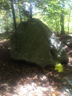 Foto von Rita Reisinger entlang der Tour