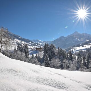 Alpbach Mittlerer Höhenweg