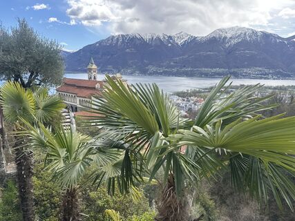 Foto von Zengaffinen Erwin entlang der Tour
