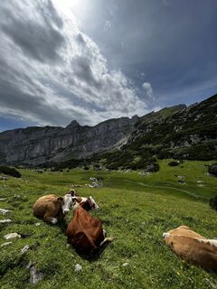 Photo from Philipp Eberharter 1 along the tour