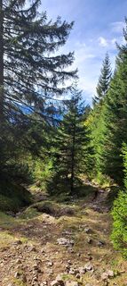 Foto von Claudia Ritz 1 entlang der Tour