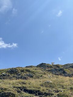 Foto von Barbara Pi entlang der Tour