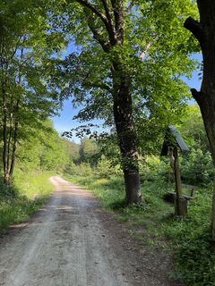 .. und am 'Einsiedlerkreuz' vorbei auf einem Forstweg weiter