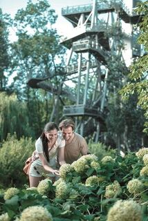 DIE GARTEN TULLN © Donau Niederösterreich/Steve Haider