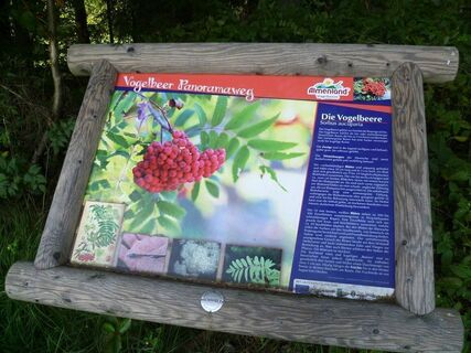 Infotafel Vogelbeer-Panoramaweg_Naturpark Almenland_Oststeiermark
