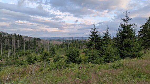 Foto de Chris gST a lo largo del recorrido