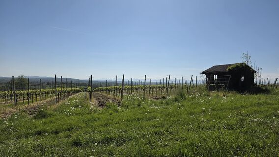Foto von W B MA entlang der Tour
