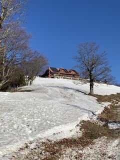 Fotografie z Irene Krammer na trase