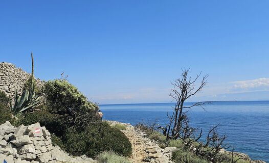 Foto von Grieshofer Gerlinde entlang der Tour
