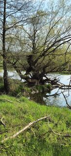 Fotografija s spletne strani Manfred Mumme na poti