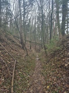 Photo de Timucin Arslan le long du parcours