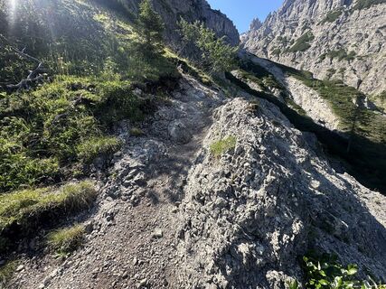 Fotografija s spletne strani Martin na poti