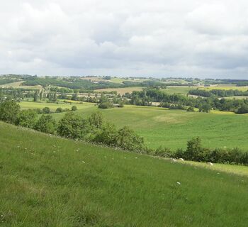 Panorama