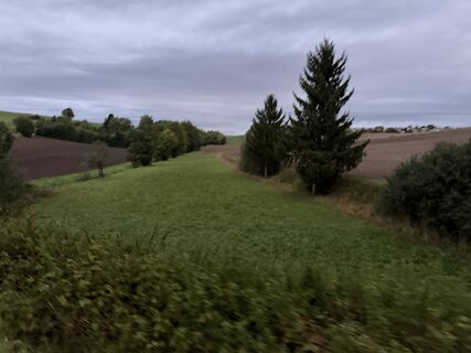 Donauwörth Gehen am morgen